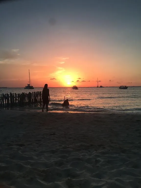 Nocleg ze śniadaniem Villa Silvia B&B Isla Mujeres