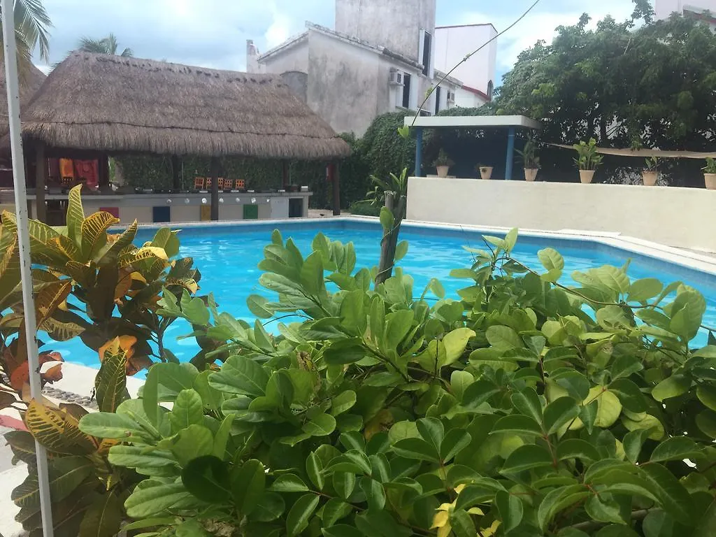 Nocleg ze śniadaniem Villa Silvia B&B Isla Mujeres